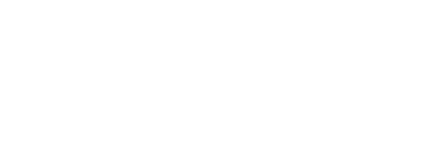 Southern Dicomfort 2026 logo