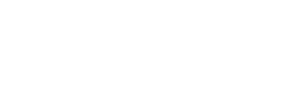 Southern Dicomfort 2026 logo
